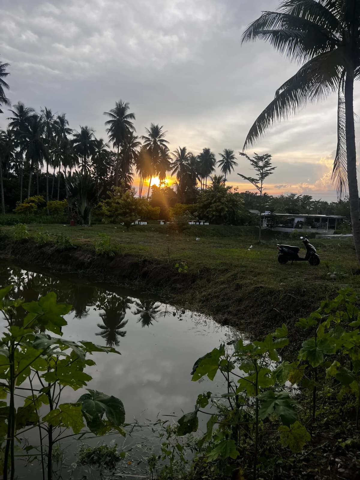 Carmen's Garden Experience 2