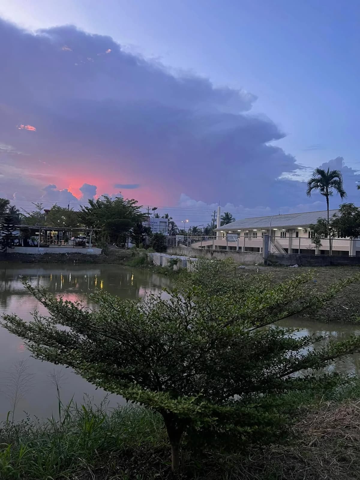 Carmen's Garden Experience 5