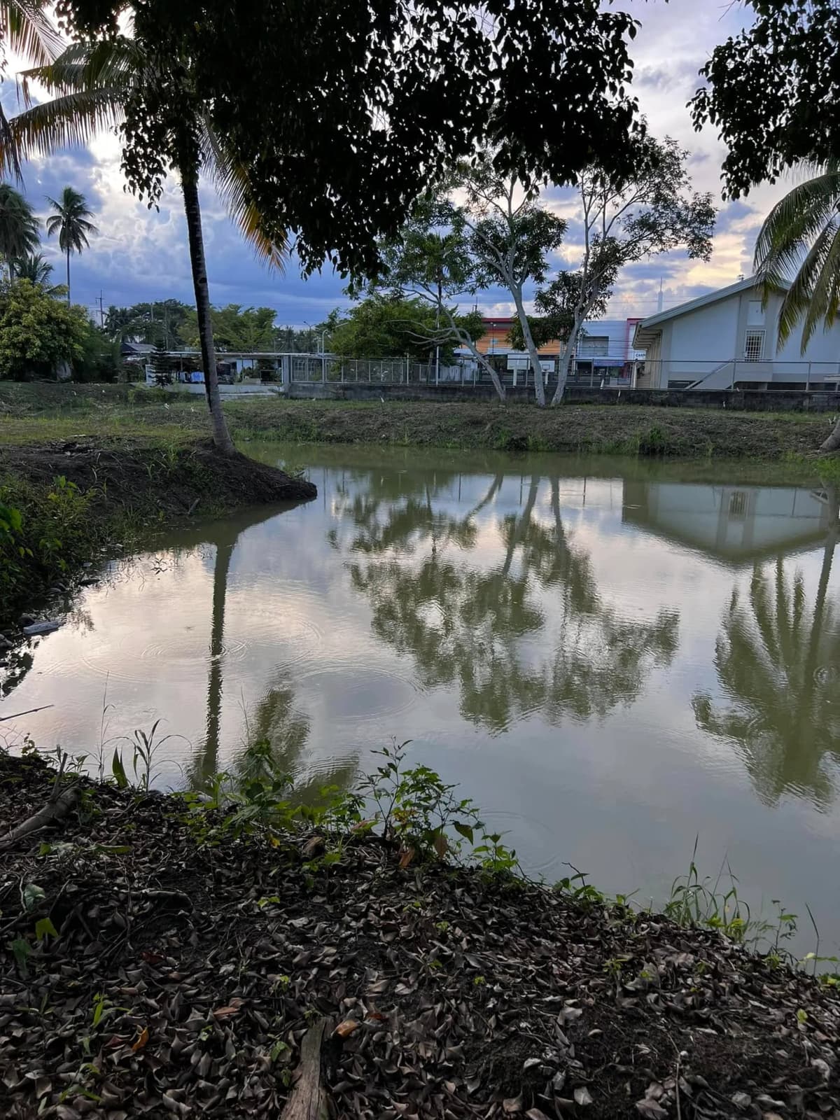 Carmen's Garden Experience 8