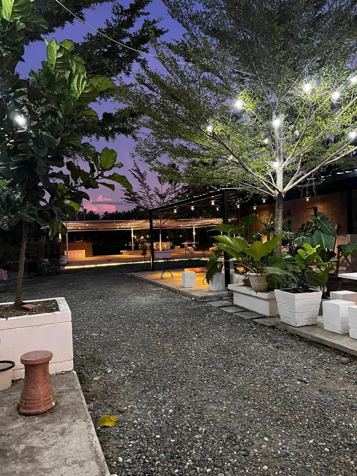 Carmen's Garden Experience 10