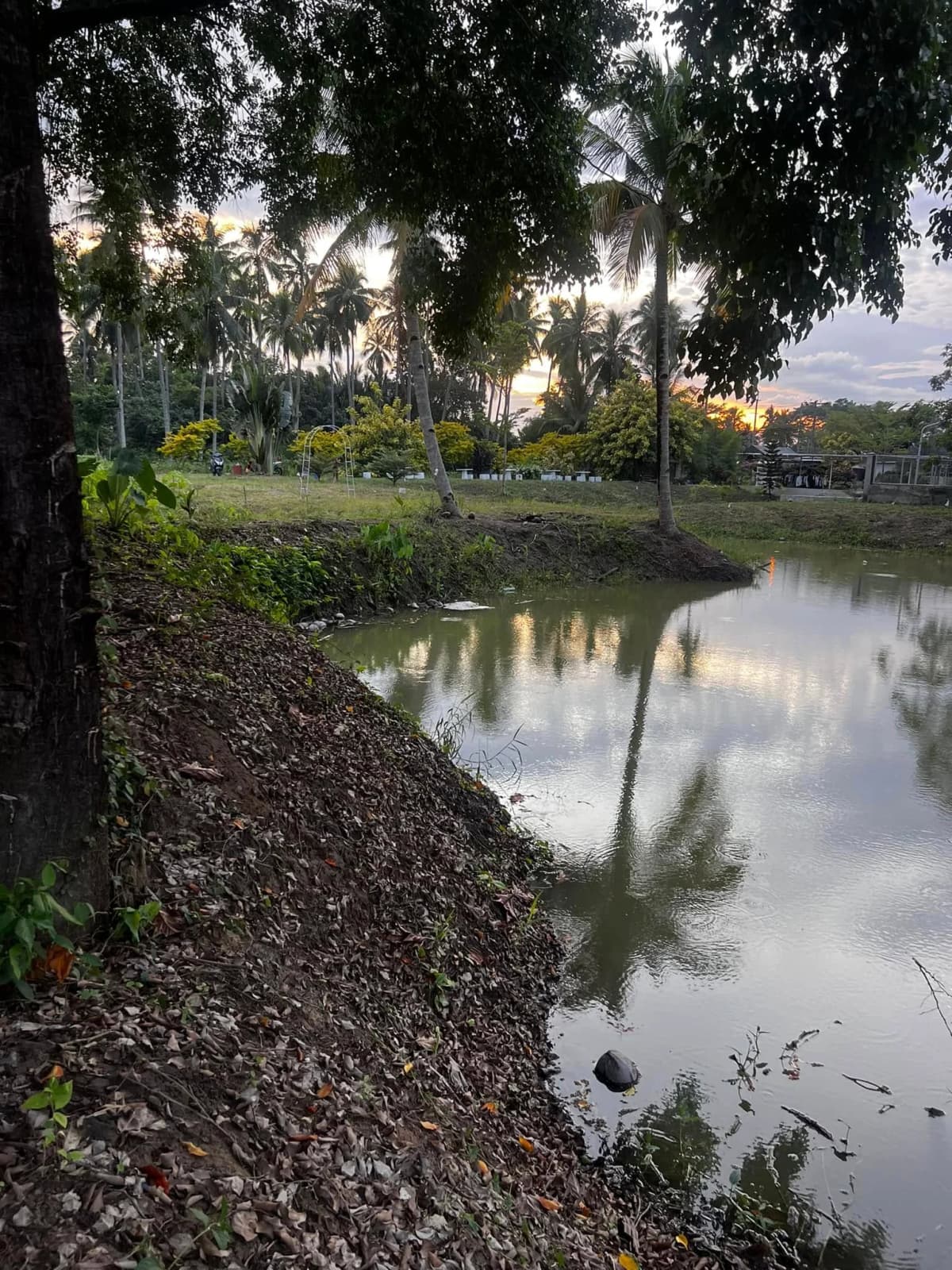 Carmen's Garden Experience 11