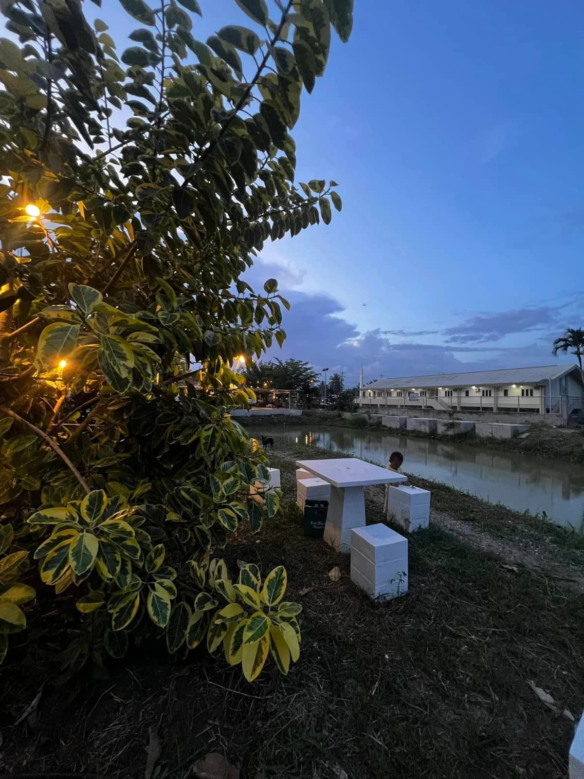 Carmen's Garden Experience 13